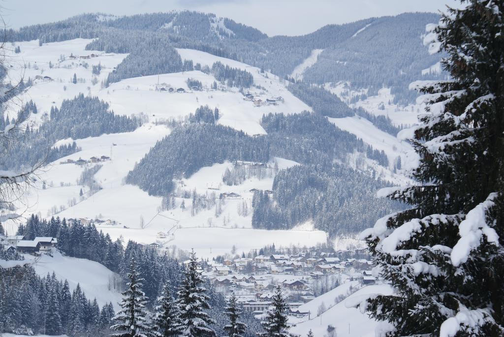 Pension Chalet Bergseegut Ваграйн Екстер'єр фото