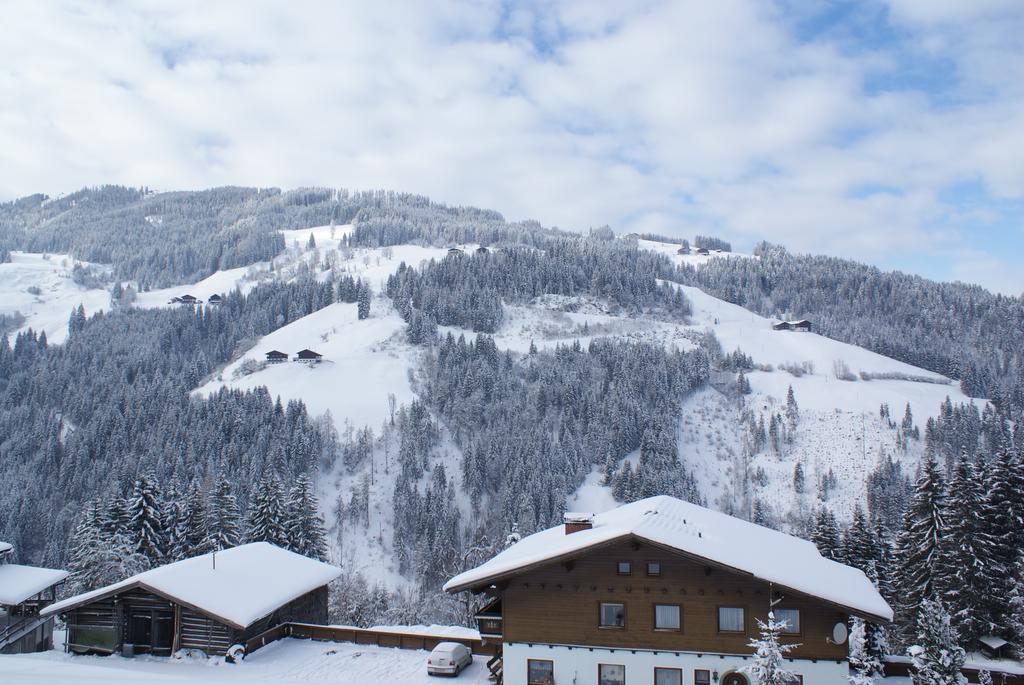 Pension Chalet Bergseegut Ваграйн Екстер'єр фото