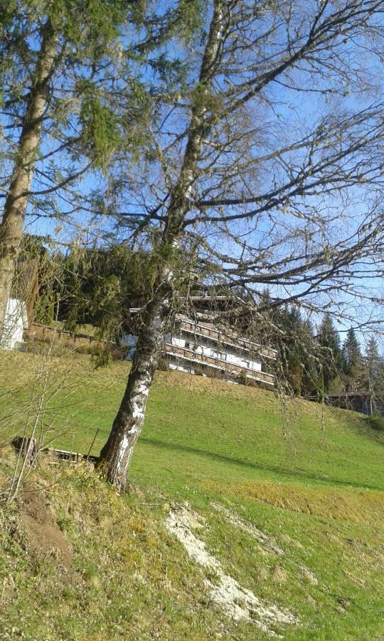 Pension Chalet Bergseegut Ваграйн Екстер'єр фото