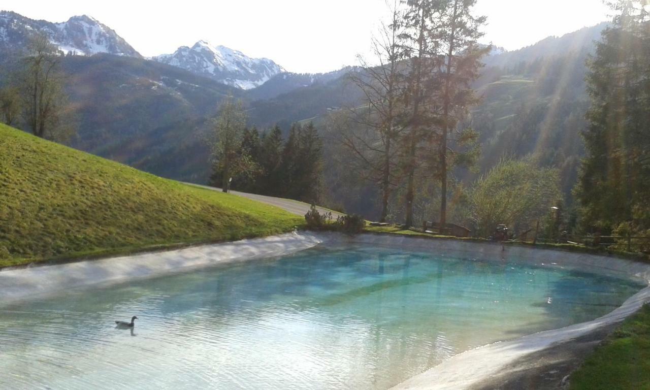 Pension Chalet Bergseegut Ваграйн Екстер'єр фото