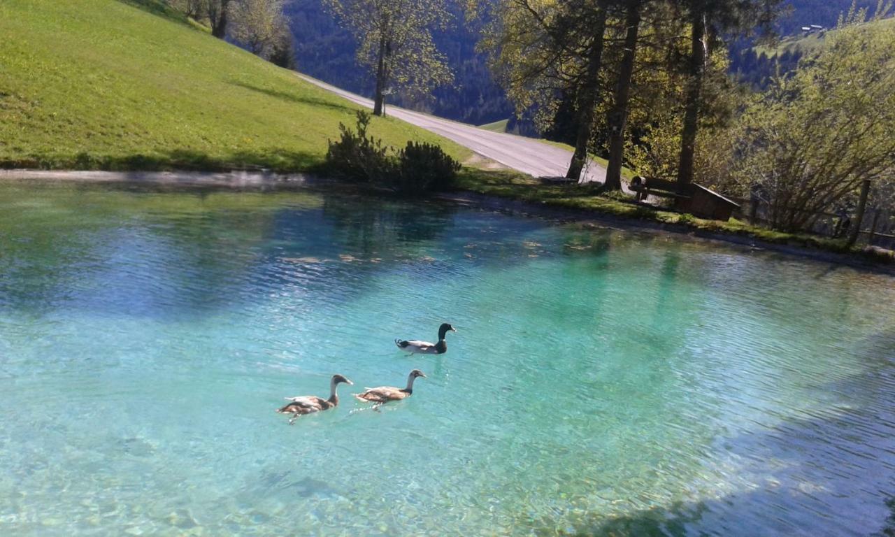 Pension Chalet Bergseegut Ваграйн Екстер'єр фото