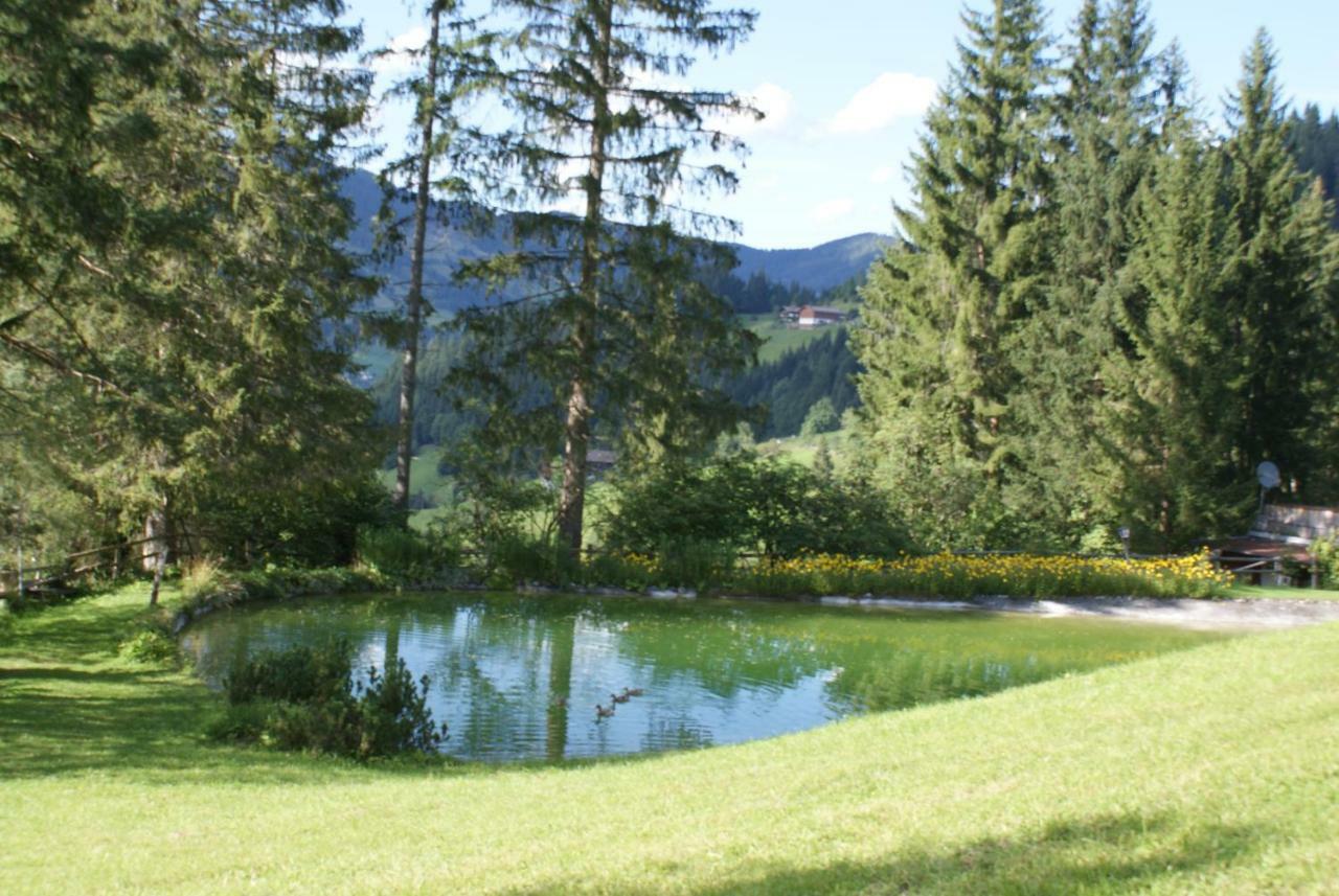 Pension Chalet Bergseegut Ваграйн Екстер'єр фото