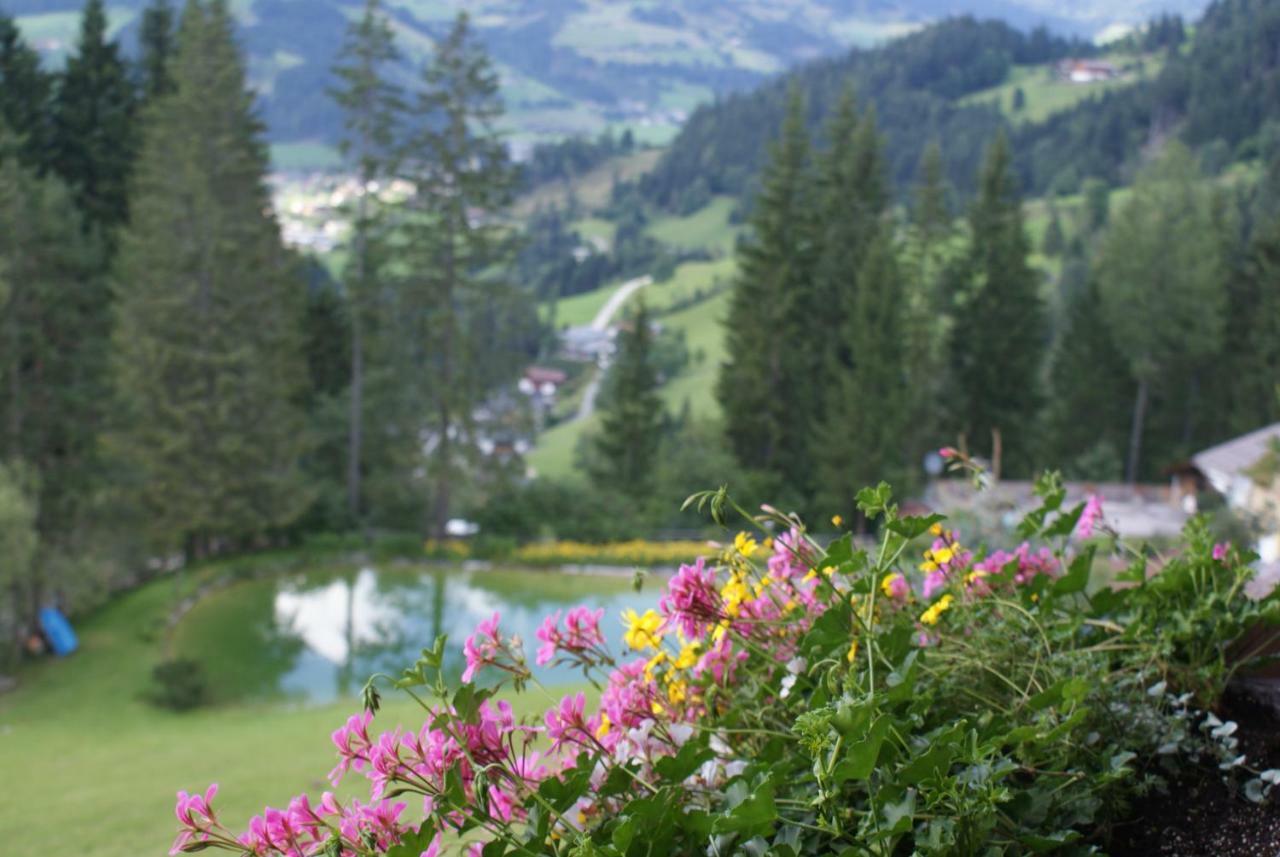 Pension Chalet Bergseegut Ваграйн Екстер'єр фото