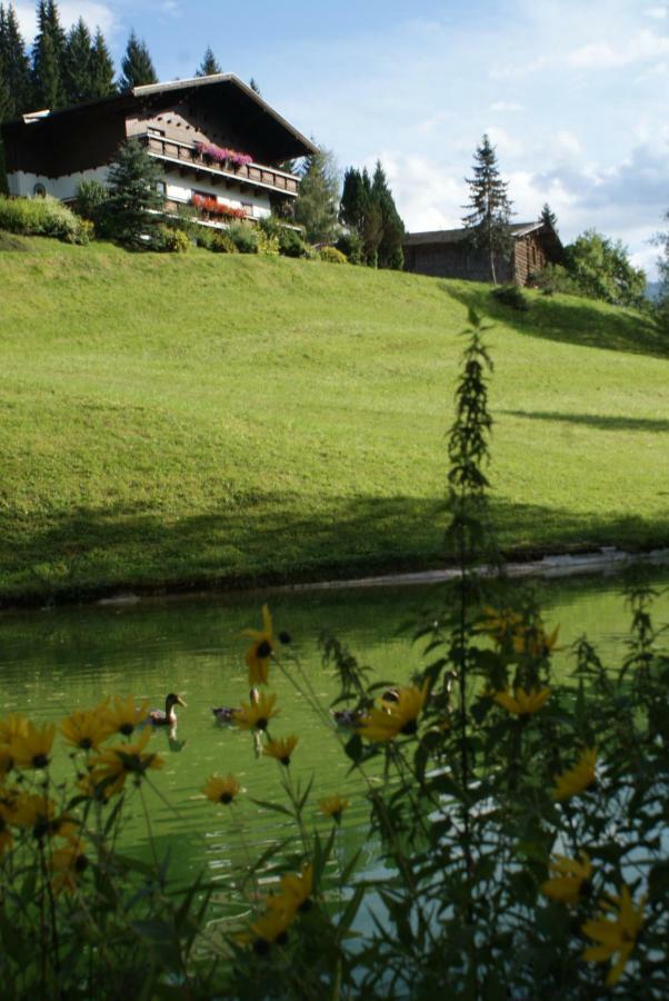 Pension Chalet Bergseegut Ваграйн Екстер'єр фото