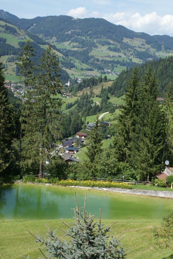 Pension Chalet Bergseegut Ваграйн Екстер'єр фото