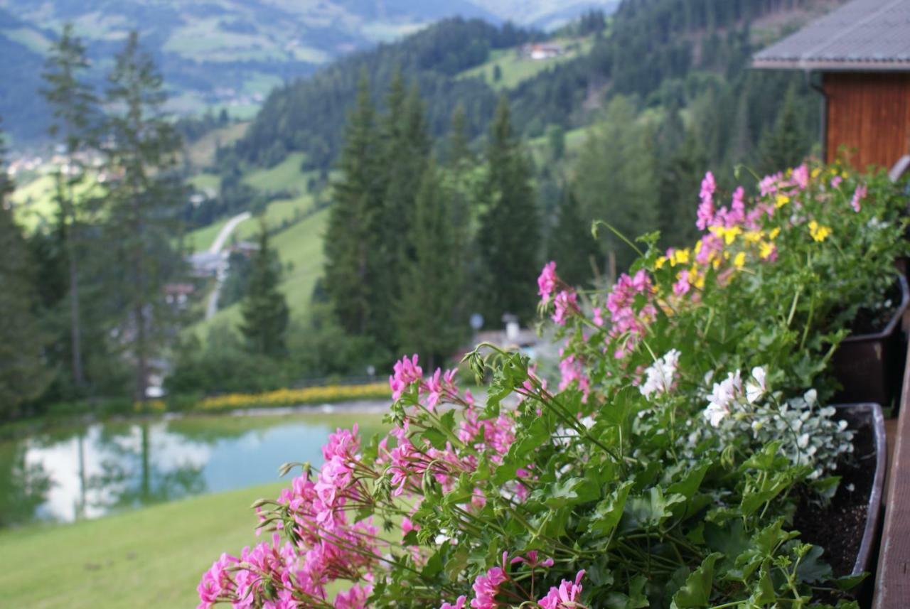 Pension Chalet Bergseegut Ваграйн Екстер'єр фото