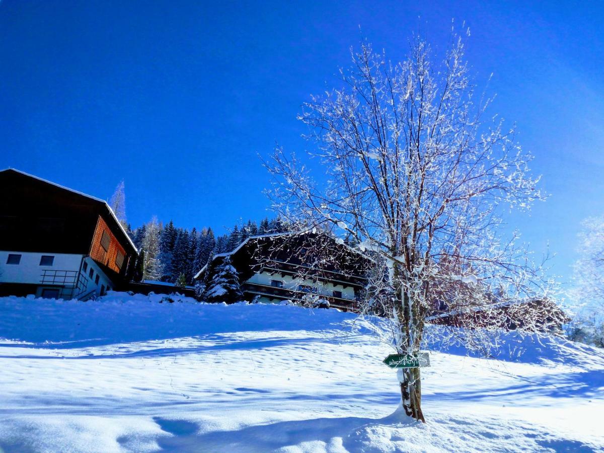 Pension Chalet Bergseegut Ваграйн Екстер'єр фото