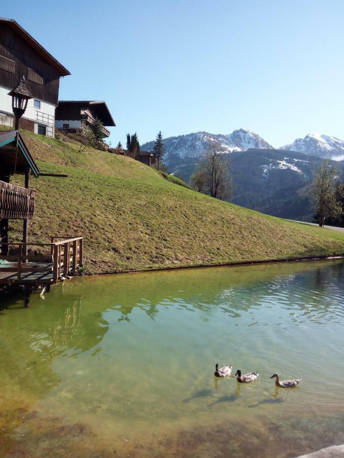 Pension Chalet Bergseegut Ваграйн Екстер'єр фото
